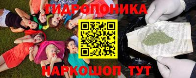 крисы Северобайкальск