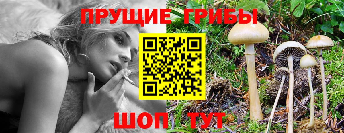 Псилоцибиновые грибы прущие грибы Омск