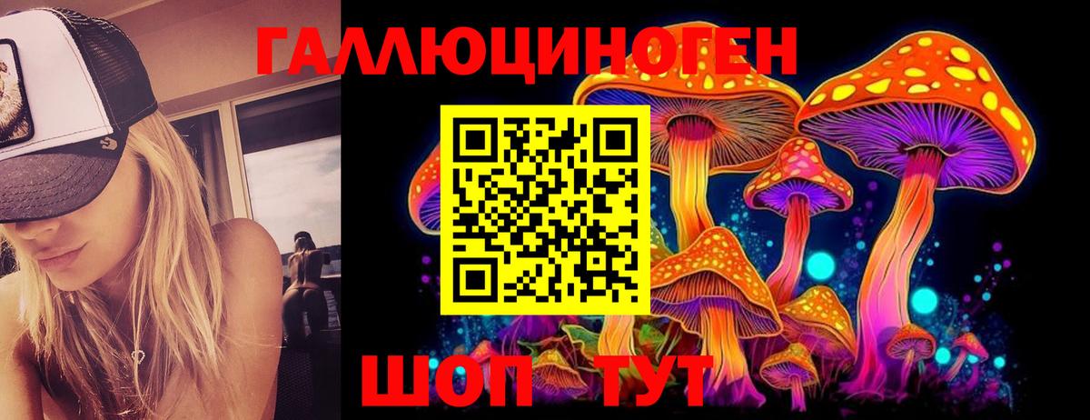 Галлюциногенные грибы Psilocybe  Вход с VPN  Омск 