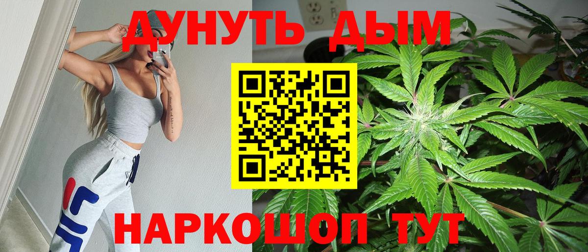 Бошки марихуана конопля Омск